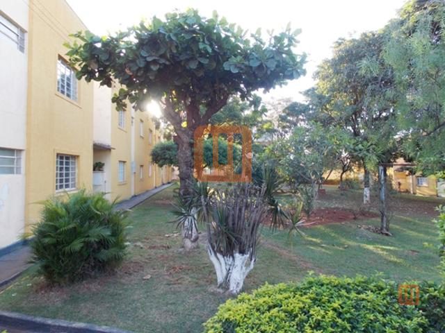 Condomínio Indaiá (1685) em Campos Elíseos, Ribeirão Preto - Jardim - foto 3 código 3368