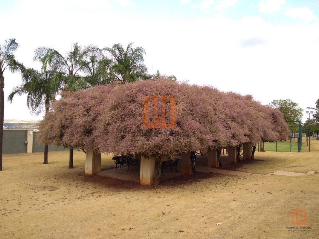 Condomínio Guaporé 2 em Guaporé, Ribeirão Preto - Outros - foto 3 código 386