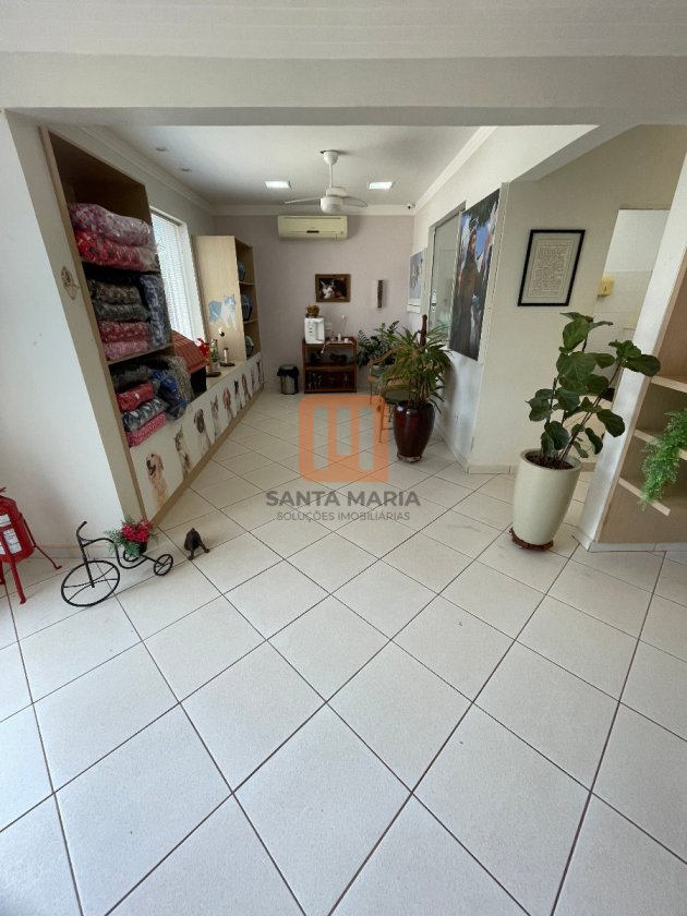 Casa para alugar em Jardim Irajá, Ribeirão Preto - Sala (unidade) - foto 3 código 10531