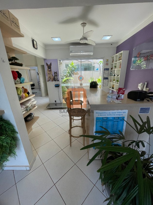 Casa para alugar em Jardim Irajá, Ribeirão Preto - Sala (unidade) - foto 4 código 10531