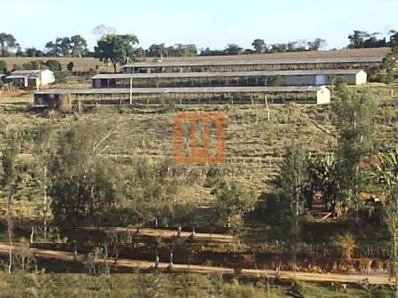 Fazenda-Sítio para comprar em ***Em Branco***, Pouso Alegre - Outras (unidade) - foto 4 código 16763