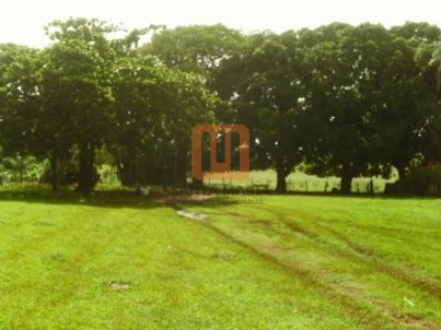 Fazenda-Sítio para comprar em ***Em Branco***, Centralina - Outras (unidade) - foto 2 código 16897