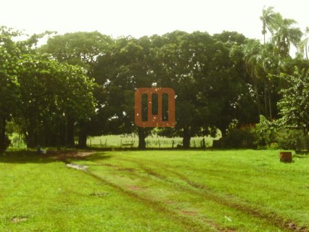 Fazenda-Sítio para comprar em ***Em Branco***, Centralina - Outras (unidade) - foto 3 código 16897