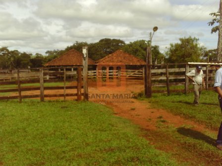 Fazenda-Sítio para comprar em ***Em Branco***, Centralina - Outras (unidade) - foto 4 código 16897