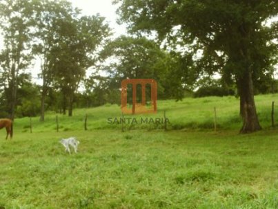 Fazenda-Sítio para comprar em ***Em Branco***, Ituiutaba - Outras (unidade) - foto 4 código 16956