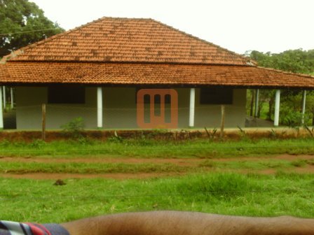 Fazenda-Sítio para comprar em ***Em Branco***, Ituiutaba - Outras (unidade) - foto 5 código 16956