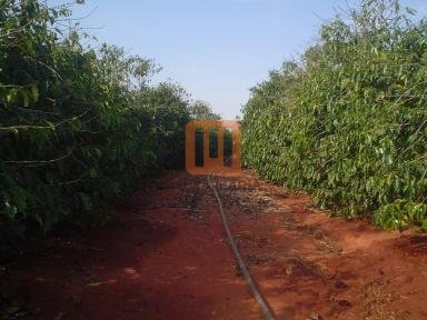 Fazenda-Sítio para comprar em Aparecida Do Sul, Guape - Outras (unidade) - foto 5 código 20032