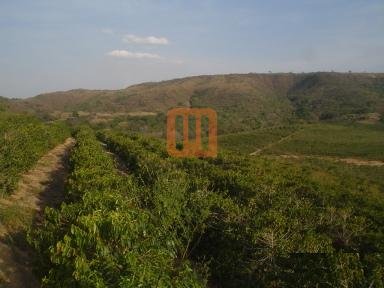 Fazenda-Sítio para comprar em Pontal, Guape - Outras (unidade) - foto 3 código 20034
