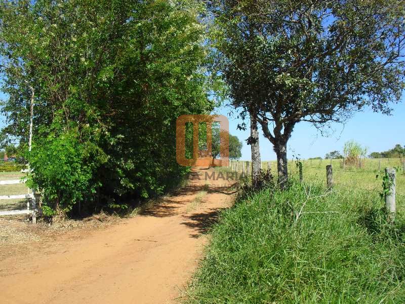 Fazenda-Sítio para comprar em Zona Rural, Cajuru - Outras (unidade) - foto 3 código 20795