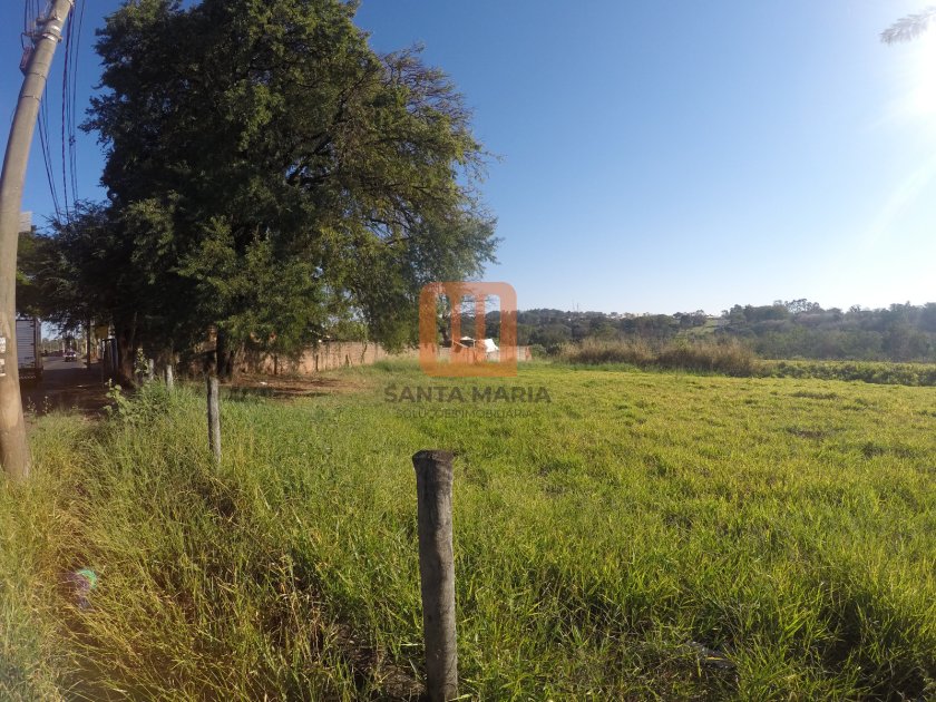 Terreno para comprar em Vila Virgínia, Ribeirão Preto - Terreno/Lote (unidade) - foto 4 código 21752