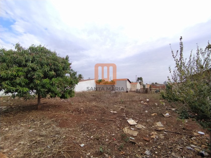 Terreno para comprar em Candido Portinari, Ribeirão Preto - Terreno/Lote (unidade) - foto 4 código 26785