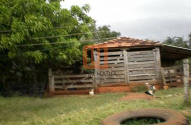 Fazenda-Sítio para comprar em Zona Rural, Monte Alegre De Minas - Outras (unidade) - foto 5 código 27793