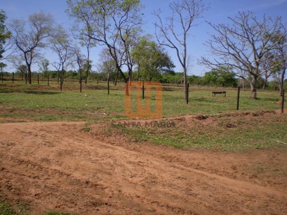 Fazenda-Sítio para comprar em ***Em Branco***, Prata - Outras (unidade) - foto 2 código 27850