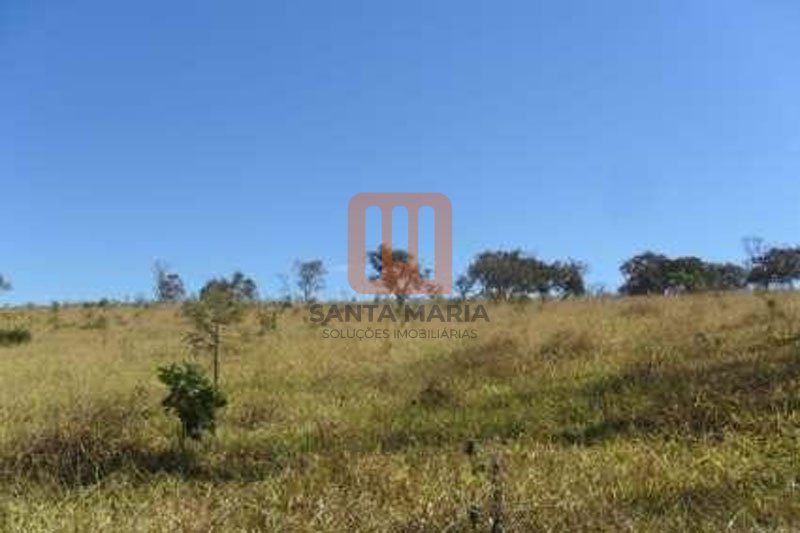 Fazenda-Sítio para comprar em Centro, Piumhi - Quintal/corredores (unidade) - foto 3 código 28349