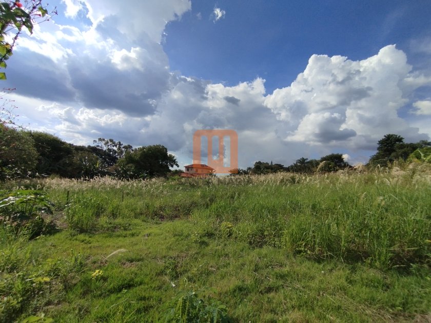 Chácara para alugar em Centro (Bonfim Paulista), Ribeirão Preto - Terreno/Lote (unidade) - foto 3 código 31645