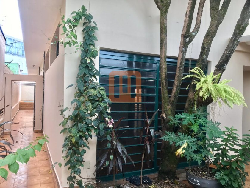 Casa para comprar em Jardim América, Ribeirão Preto - Quintal/corredores (unidade) - foto 4 código 31806