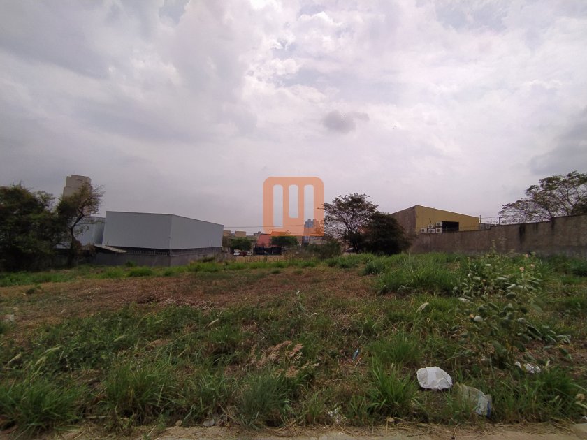 Terreno em Alto Da Boa Vista, Ribeirão Preto