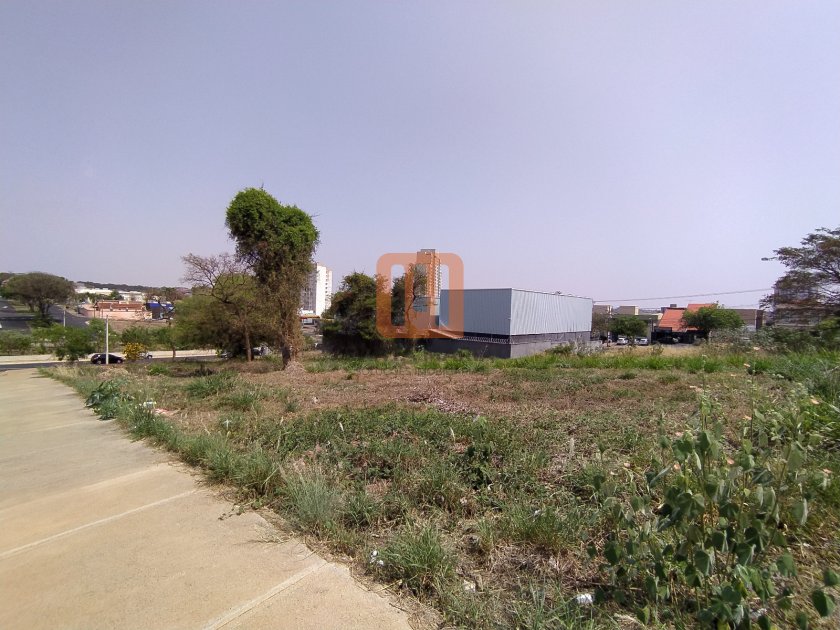 Terreno para alugar em Alto Da Boa Vista, Ribeirão Preto - Terreno/Lote (unidade) - foto 2 código 33586