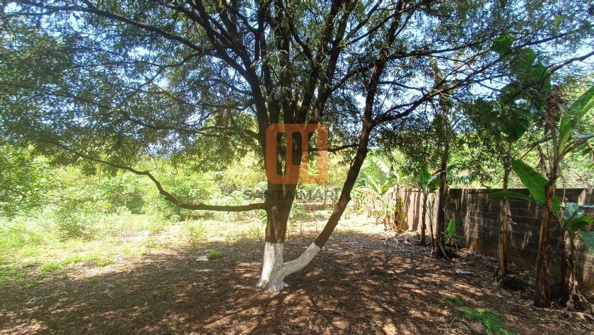 Terreno em Jardim Diva Tarlá De Carvalho, Ribeirão Preto