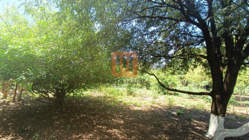 Terreno para comprar em Jardim Diva Tarlá De Carvalho, Ribeirão Preto - Terreno/Lote (unidade) - foto 2 código 42448