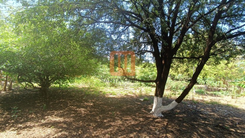 Terreno para comprar em Jardim Diva Tarlá De Carvalho, Ribeirão Preto - Terreno/Lote (unidade) - foto 3 código 42448