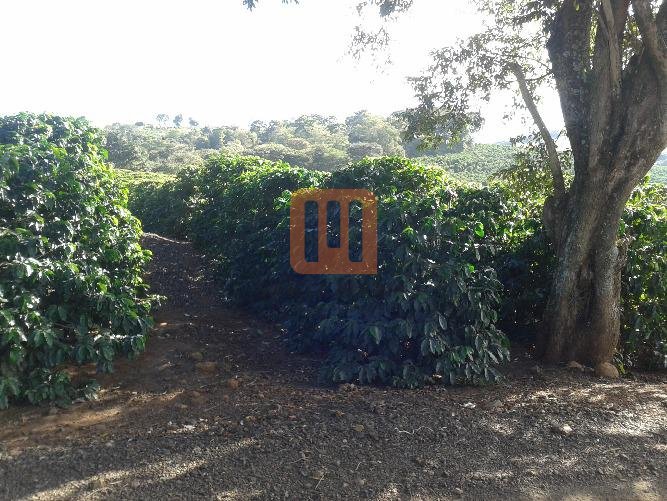 Fazenda-Sítio para comprar em Estação, Itamogi - Outras (unidade) - foto 3 código 43200