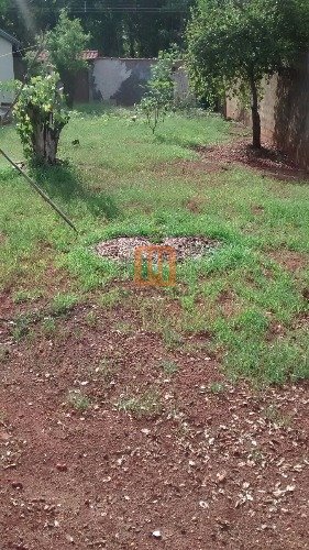 Terreno para comprar em Centro, Serra Azul - Terreno/Lote (unidade) - foto 2 código 43679