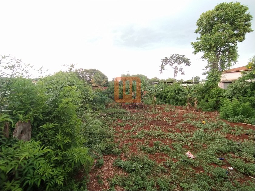 Terreno para comprar em Ipiranga, Ribeirão Preto - Terreno/Lote (unidade) - foto 2 código 43774