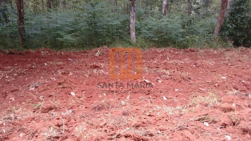 Fazenda-Sítio para comprar em Zona Rural, Vila Rica - Terreno/Lote (unidade) - foto 4 código 45238