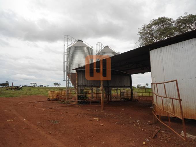 Fazenda-Sítio para comprar em ***Em Branco***, Prata - Terreno/Lote (unidade) - foto 5 código 45739