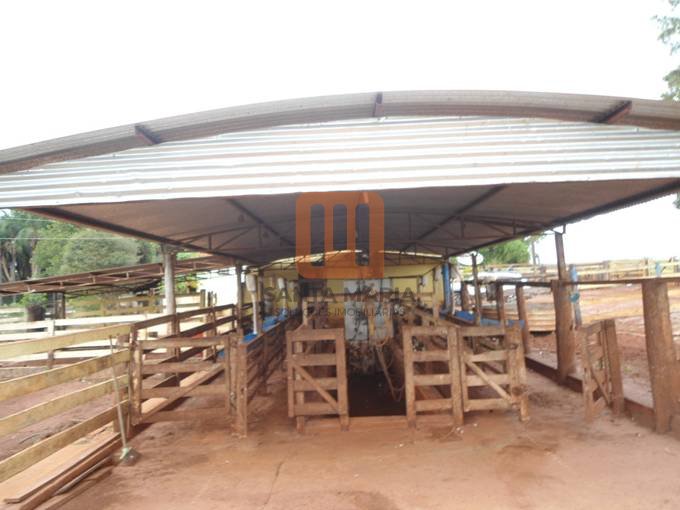 Fazenda-Sítio para comprar em ***Em Branco***, Prata - Terreno/Lote (unidade) - foto 3 código 45739