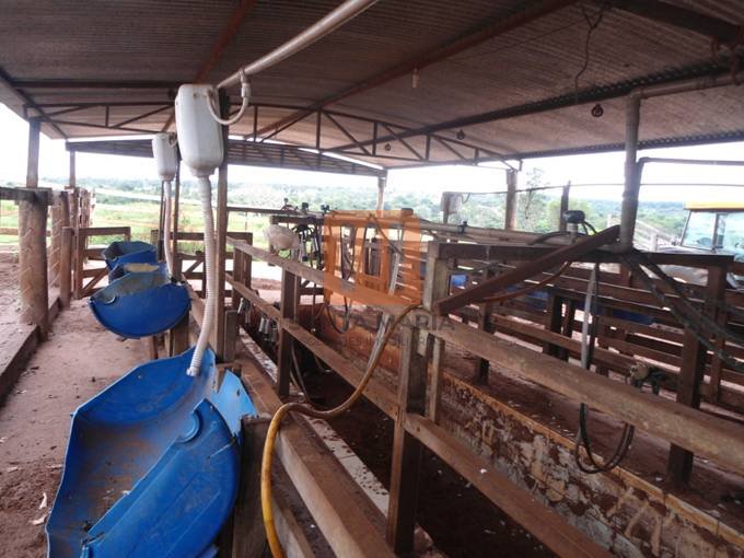 Fazenda-Sítio para comprar em ***Em Branco***, Prata - Terreno/Lote (unidade) - foto 4 código 45739
