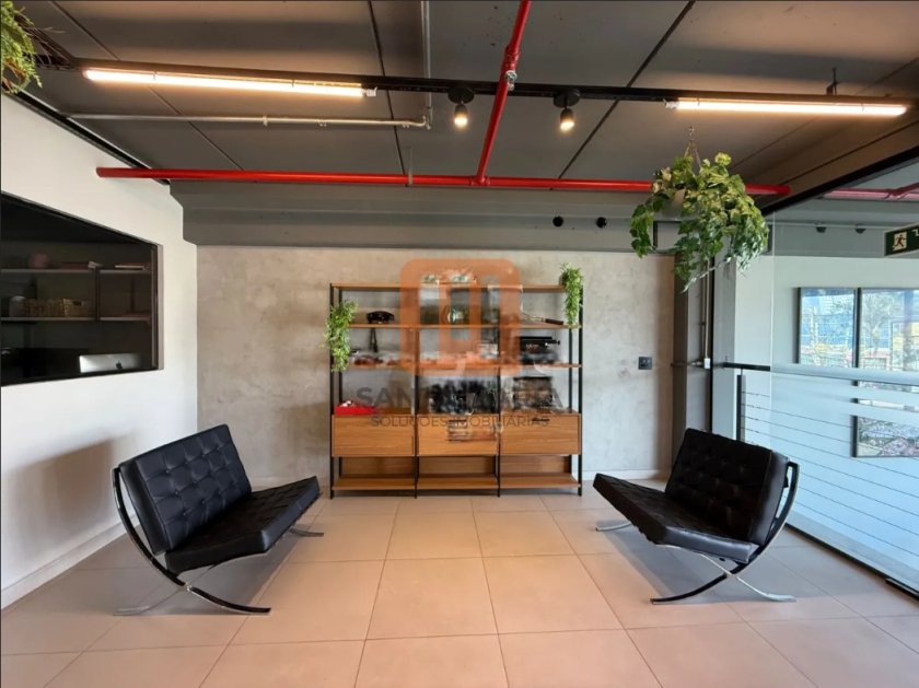 Salão-Galpão para alugar em Jardim Califórnia, Ribeirão Preto - Sala (unidade) - foto 3 código 49732