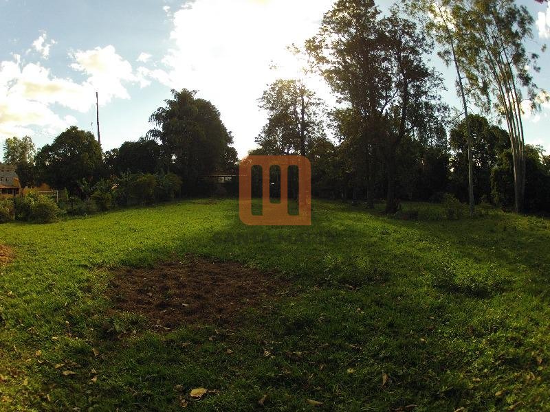 Chácara para comprar em Jardim Itaú, Ribeirão Preto - Terreno/Lote (unidade) - foto 5 código 52521