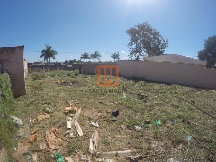 Terreno para alugar em Vila Virgínia, Ribeirão Preto - Terreno/Lote (unidade) - foto 3 código 52804