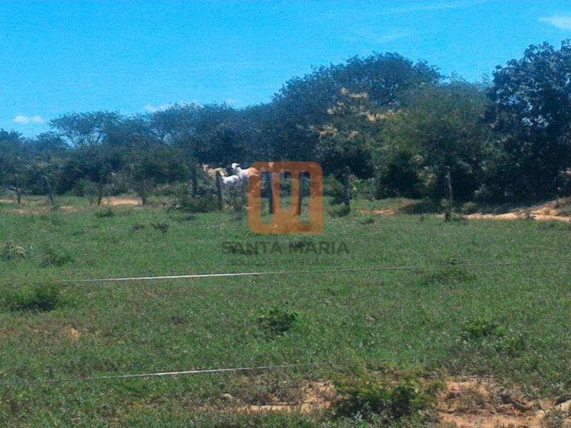 Fazenda-Sítio para comprar em Todos os Santos, Montes Claros - Outras (unidade) - foto 2 código 52859