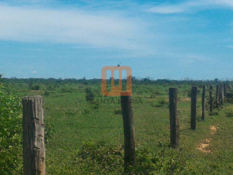 Fazenda-Sítio para comprar em Todos os Santos, Montes Claros - Outras (unidade) - foto 3 código 52859