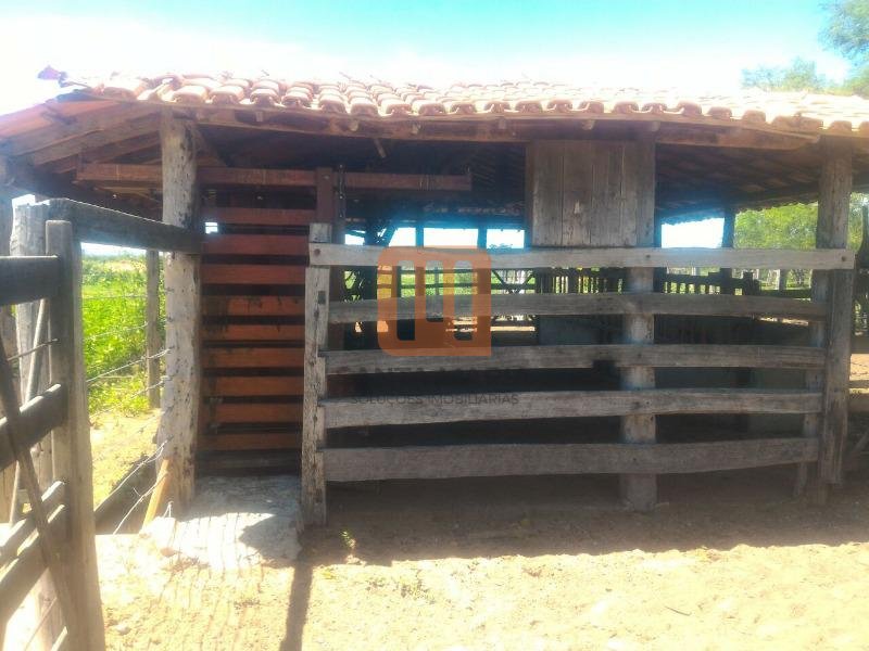 Fazenda-Sítio para comprar em Todos os Santos, Montes Claros - Outras (unidade) - foto 5 código 52859