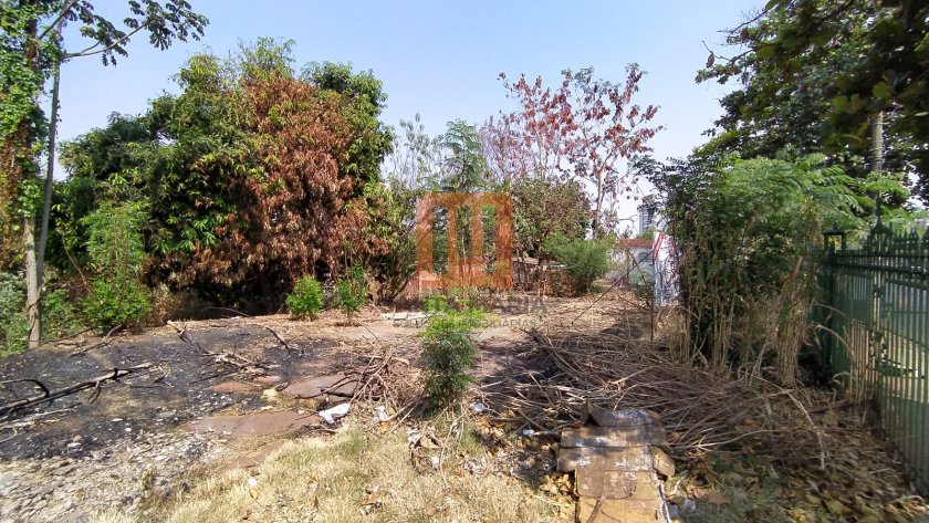 Terreno para alugar em Jardim Iguatemi, Ribeirão Preto - Terreno/Lote (unidade) - foto 2 código 53336
