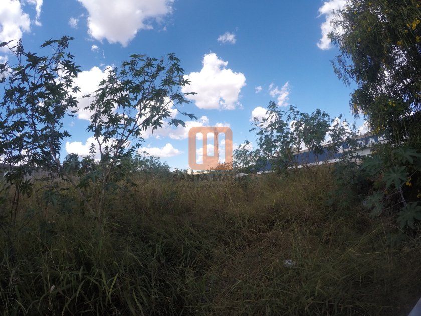 Terreno para comprar em Vila Virgínia, Ribeirão Preto - Terreno/Lote (unidade) - foto 2 código 53743