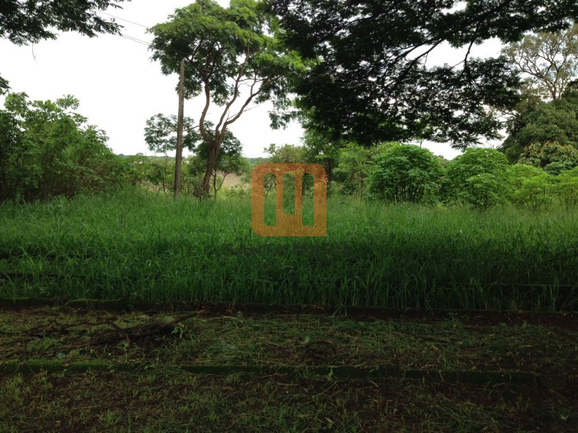 Chácara para comprar em Jardim Iara, Ribeirão Preto - Terreno/Lote (unidade) - foto 2 código 56211