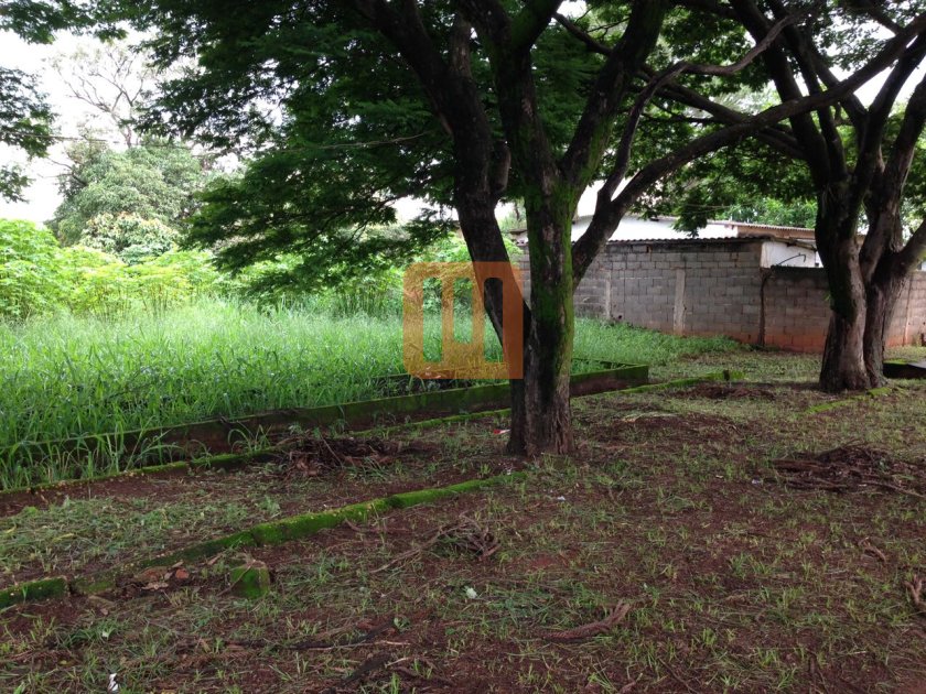 Chácara para comprar em Jardim Iara, Ribeirão Preto - Vista do Imóvel (unidade) - foto 4 código 56211