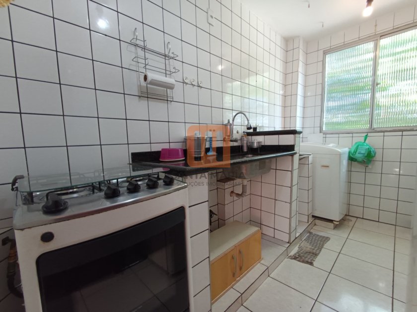Apartamento para comprar em Jardim Iguatemi, Ribeirão Preto - Cozinha (unidade) - foto 2 código 57517