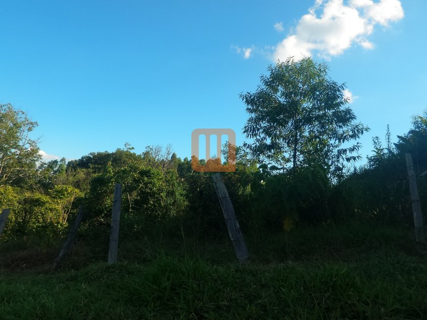 Fazenda-Sítio para comprar em Cassialar, Cassia - Terreno/Lote (unidade) - foto 3 código 57909