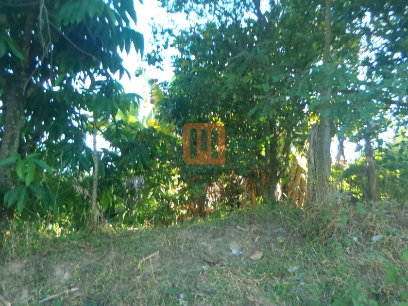 Fazenda-Sítio para comprar em Cassialar, Cassia - Terreno/Lote (unidade) - foto 5 código 57909