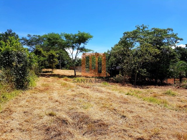 Terreno para comprar em Centro, Santo Antonio Alegria - Terreno/Lote (unidade) - foto 2 código 60176