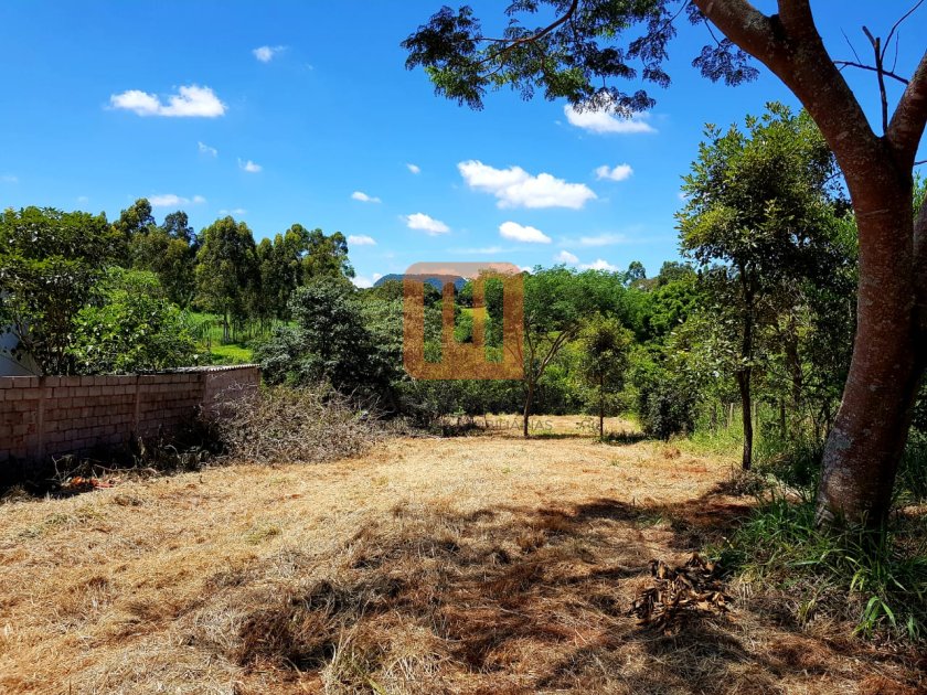 Terreno para comprar em Centro, Santo Antonio Alegria - Terreno/Lote (unidade) - foto 4 código 60176