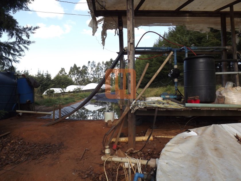 Fazenda-Sítio para comprar em Zona Rural, Capetinga - Outras (unidade) - foto 5 código 60577