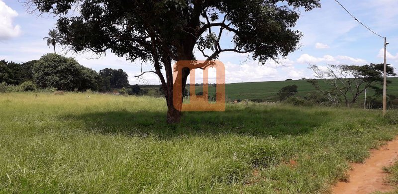 Chácara para comprar em Zona Rural, Cajuru - Terreno/Lote (unidade) - foto 2 código 61272