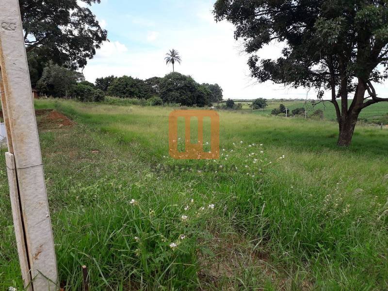 Chácara para comprar em Zona Rural, Cajuru - Terreno/Lote (unidade) - foto 3 código 61272